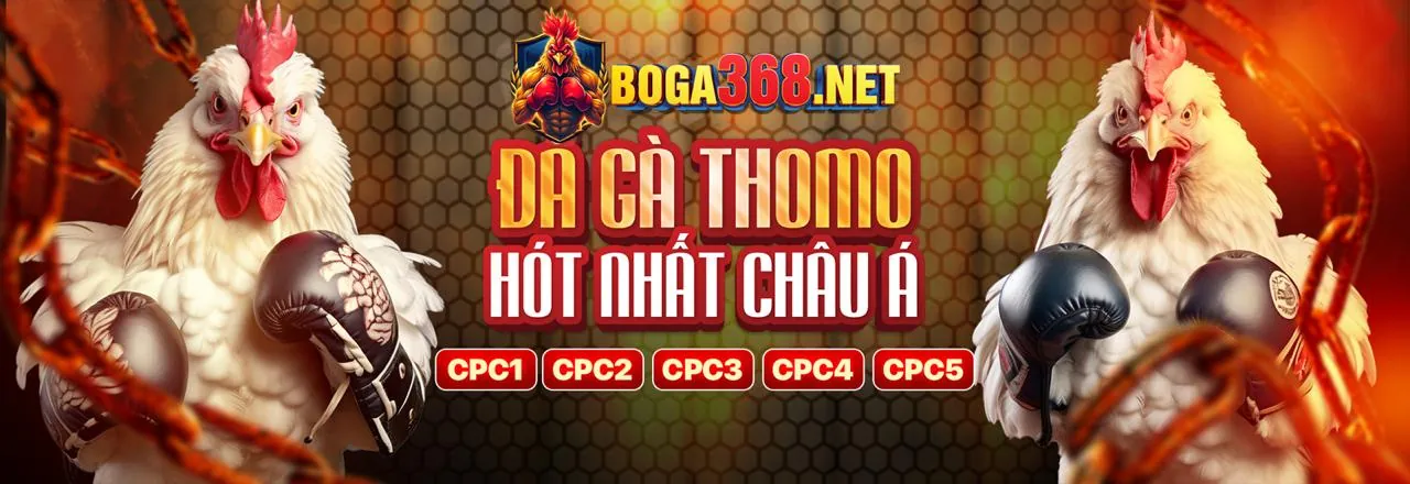 Đá Gà Trực Tuyến RS88 Chính Thức